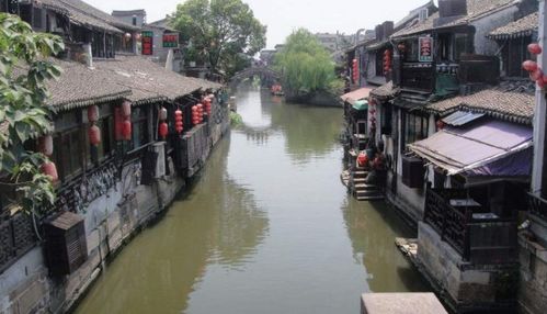 長臨河與運漕:古鎮裡貓比人多,炸藕盒卻讓人流連忘返