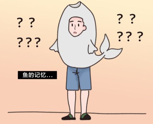 哪个星座的人记性最好，记忆力特别出色呢？
