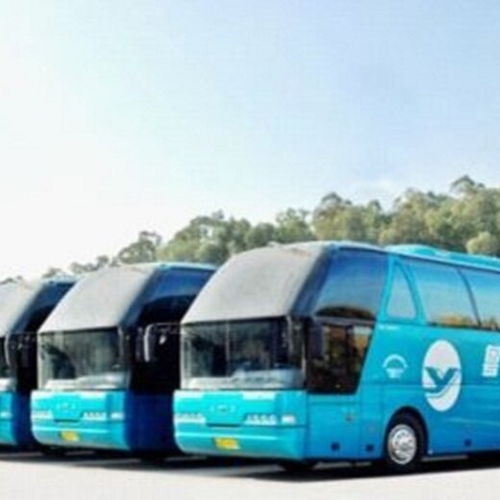 另一例子：老刘每周必走的 “棘洪滩专线” 🚚🚚