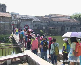 五、高要区田园综合体项目：乡村旅游新去处