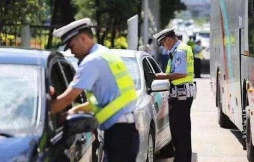 说不清道不明的魅力——东石这片土地上的秘密花园
