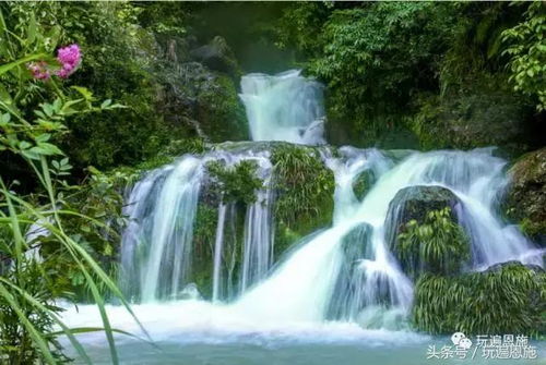 利川：一个被低估的地方