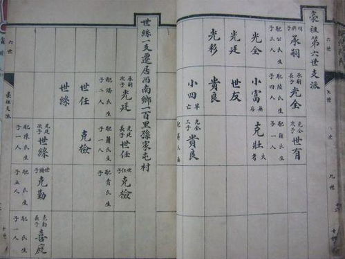 3. 江西龙南关西徐氏