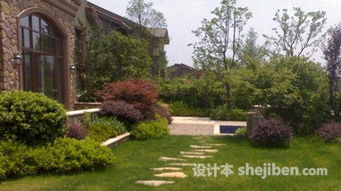 庭院种树6大风水禁忌,庭院种树风水禁忌