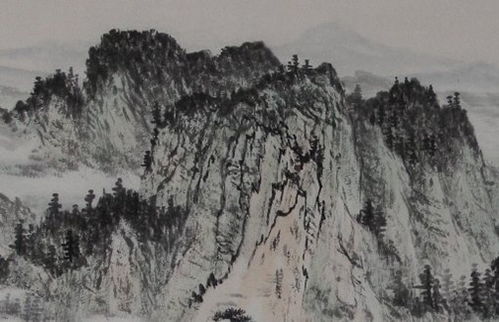 君子兰：装逼必备的富贵草