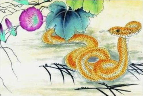一、概述：本月蛇人的“命运”到底是啥？