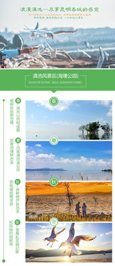 第三天:捞鱼河的郁金香花海