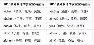 名字拆解：多重解读与潜在风险