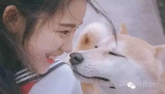 猫狗通灵：它们是家里的守护神