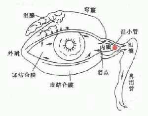 A/B测试案例（完全虚构）：