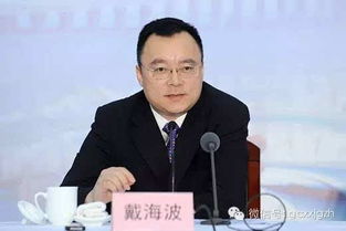 第三章：张江的迷雾与高桥的回忆