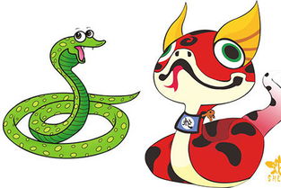 属蛇女与属兔合财婚姻，佩戴何物能招财？