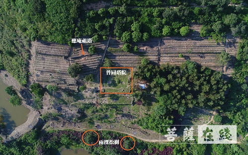 ④ 避免迷路 —— 带上 GPS 或者请当地老奶奶指路，她们比地图更靠谱。