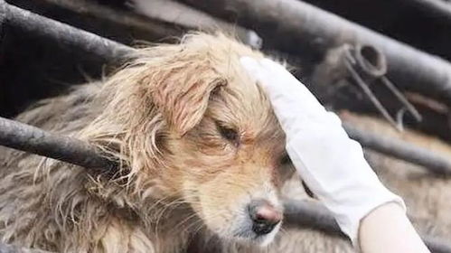 流行元素加持：紧跟时代潮流