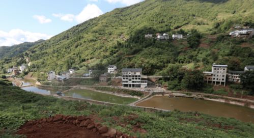 二、 风水视角下的隐形危机——噪声、磁场与煞气