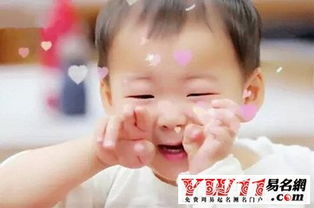 你到底想给属狗宝宝起什么名字？——随便乱写一点儿呗！