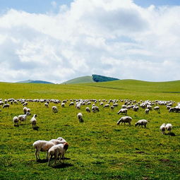 血泪史！我被景区特产店PUA的全过程