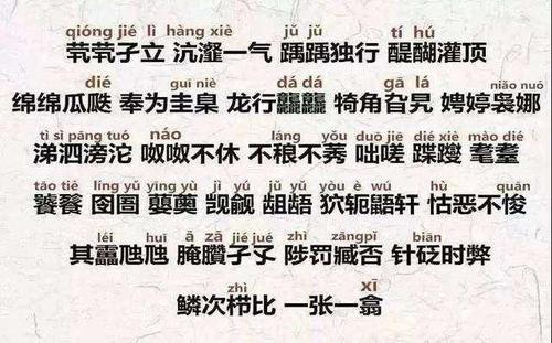 姓氏背后的故事：夏与萧的魅力