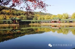 萧山太虚湖——一个去了想骂娘的地方