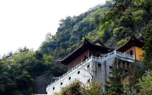 夏日避暑：天然氧吧就是不一样