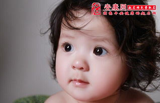第一章：为哪些叫“文静”这么十分沉关键？——噪音与宁静共存的人生路程