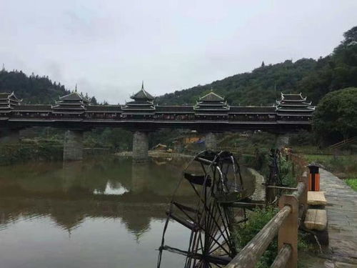 4. 螺蛳洞