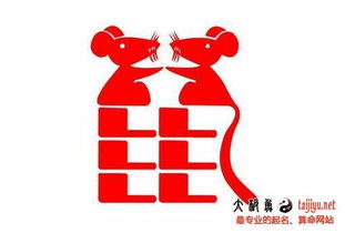 2026年贾姓鼠宝宝和任姓鼠宝宝起名大全，有哪些好名字推荐呢？