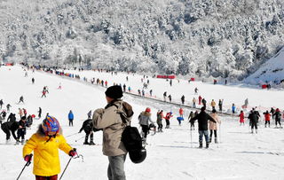一、 先说说那“奇迹”，就是白茫茫的雪景和那随风飘荡的雾凇