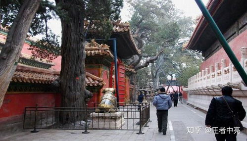 颐和园：大型社死现场
