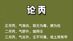 乙木日主遇到正印旺时如何运用财星来制约正印并生助官星？