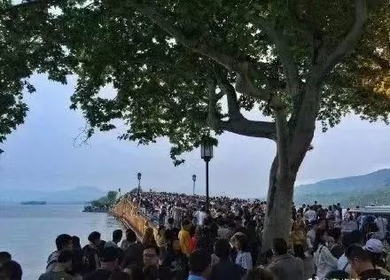 西瓜视频上的那些段子...