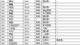 RuHeShi 解析：
