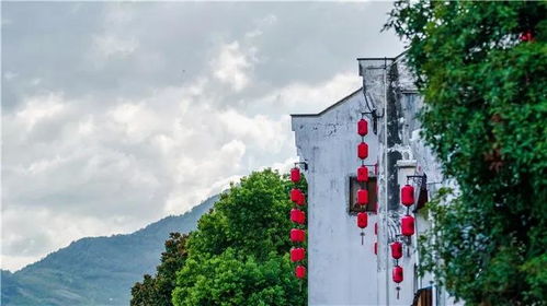 震惊！溪口旅游真相曝光 2026年黄历显示这天千万别去