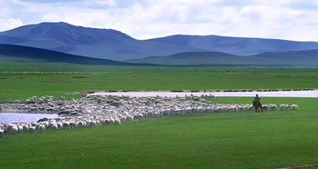 真实故事：笑死个人