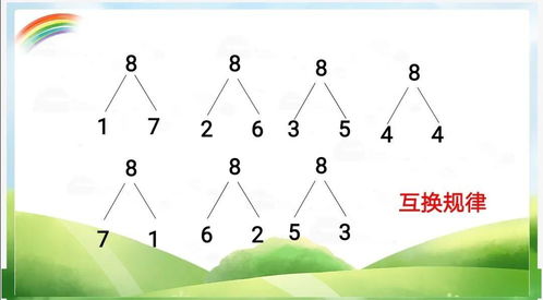 第一章：雨点儿的“五行属性”与生肖潜能