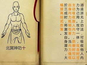 什么是“麻衣”？别想歪了