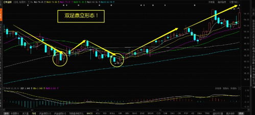 兔兔这么可爱为什么要炒股