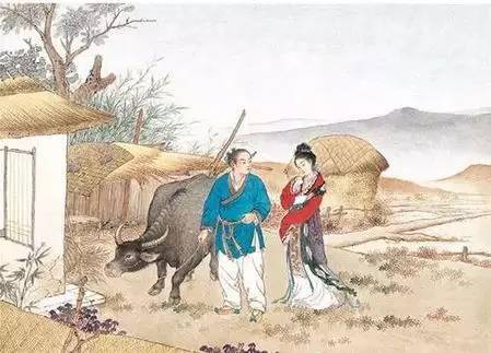 第十七回：老牛的临终遗言与陷阱
老牛临死前，对牛郎说了什么？它说：“剥了我的皮，披上它，你就能飞上天。”这真的是在帮牛郎吗？还是说这是一个陷阱？老牛可能早就知道牛郎的下场，它想让牛郎变成它，变成一头牛，永远被困在人间。
牛郎披着牛皮，带着两个孩子去追织女。他以为自己是在追求爱情，其实他是在走向死亡。他飞起来了但是他飞得越高，摔得就越惨。王母娘娘的金簪一划，他就掉下来了。掉下来的不是牛郎，是一头死牛。
织女看着掉下来的牛郎，看着那头死牛，她终于明白了。原来这一切都是老牛的阴谋。老牛恨人类，恨神仙，它想毁了这一切。它利用了牛郎的痴情，利用了织女的善良，完成了它的复仇计划。织女笑了笑得肆意妄为。她觉得自己太傻了竟然被一头牛给耍了。
第十八回：星尘的归宿与轮回的诅咒