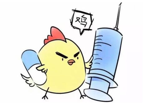84岁属鸡的人2021年运势如何？
