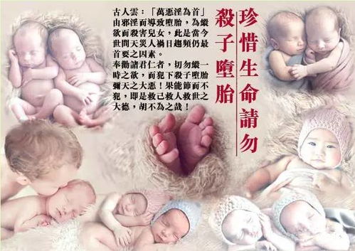 生肖与婴灵不得不说的秘密