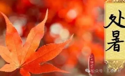 一、较小暑：这哪是较小，那是火苗火苗啊！