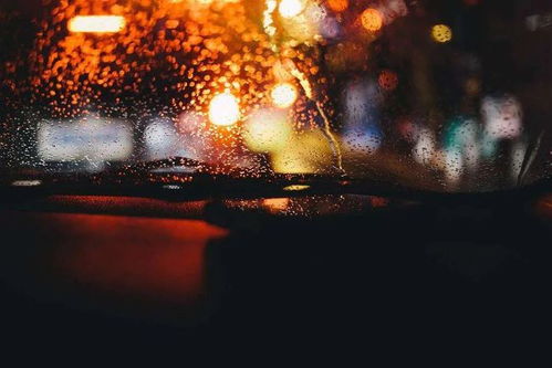 深秋的寒意与心头的疑云