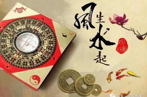 风水知识摘录及感悟（科学风水解密）是如何揭示家居风水的奥秘？
