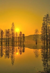 黄昏的秘密：为何选择夕阳之城