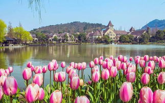 除了花海还有啥？好玩的项目多到让你眼花缭乱！