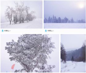 鹤岗：冰雪之旅的起点