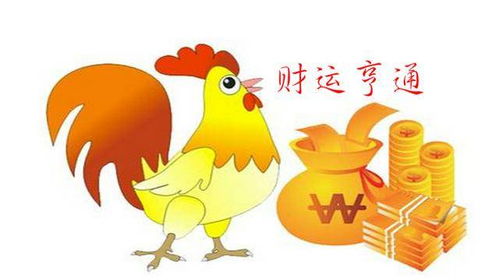 69年属鸡女性今日打麻将财运如何？
