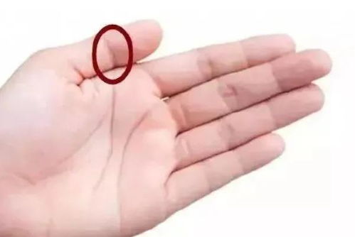 阴阳怪气的平衡之道