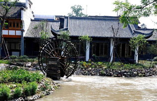 六、 外青松公路9258号——自驾车友的天堂也是停车难民的坟墓