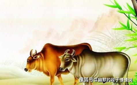 2026年85年属虎女性运势如何，86年属虎女性财运怎样？
